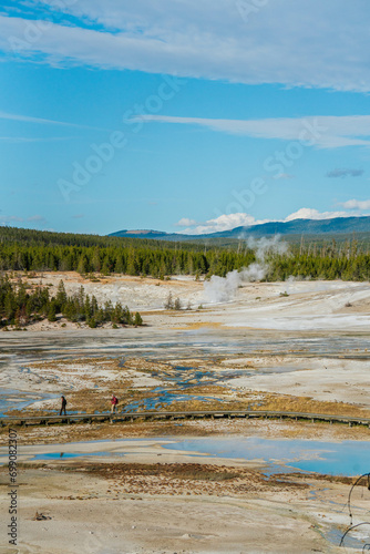 View of Norris Geyser Basin, Yellowstone National Park, Wyoming, USA