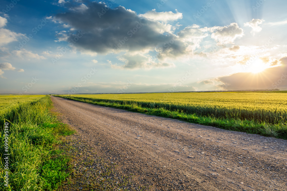 Country gravel road and green wheat field with sky clouds at sunset