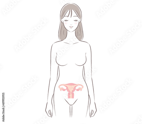 裸の女性と子宮のイラスト　説明図