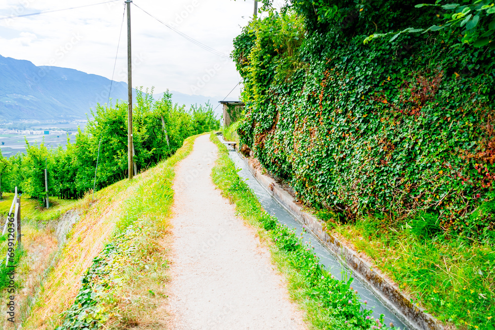 Obraz premium Hiking along the Marlinger Waalweg near Meran in South Tyrol Italy. With some Views over wineyards, the City of Meran, Marling and other Villages