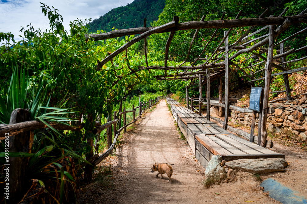 Hiking along the Marlinger Waalweg near Meran in South Tyrol Italy. With some Views over wineyards, the City of Meran, Marling and other Villages Hiking along the Marlinger Waalweg near Meran in South Tyrol Italy. With some Views over wineyards, the City of Meran, Marling and other Villages