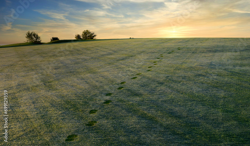 Footprints on a golf course fairway in the morning dew