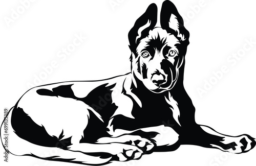 Cartoon Black and White Isolated Illustration Vector Of An Australian Kelpie Pet Puppy Dog Laying Down