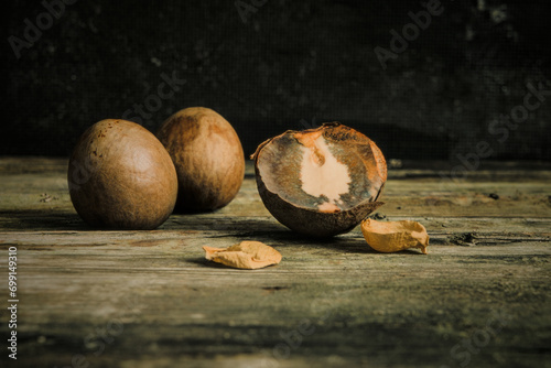 still life with avocado seeds, small roses and other gift of mother nature