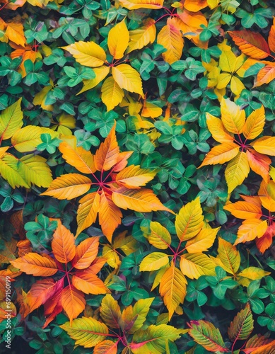 seamless pattern with flowers