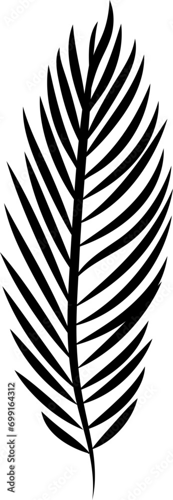 Obraz premium Palm branch. Black branch silhouette isolated on white.