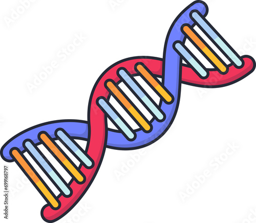 DNA Structure