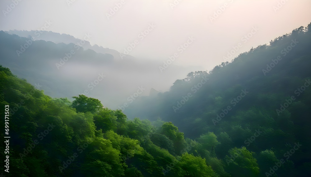 misty morning in the mountains