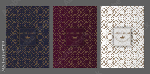 A luxurious pattern. A set of spectacular patterns for covers, prints, interior design, packaging, premium funds and creative ideas