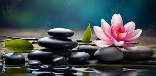 Concept spa relax, Buddha nature. Pink water lily lotus flower with stones in water, bokeh background with copy space.