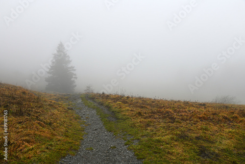 Nebel auf der Wasserkuppe, auch schlechtes Wetter kann schön sein...