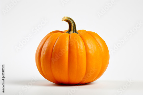 Vibrant Pumpkin Image with White Background