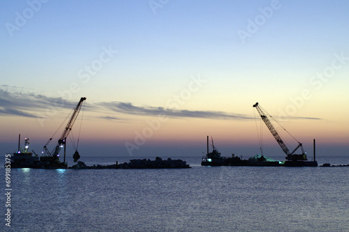 cranes at sunset
