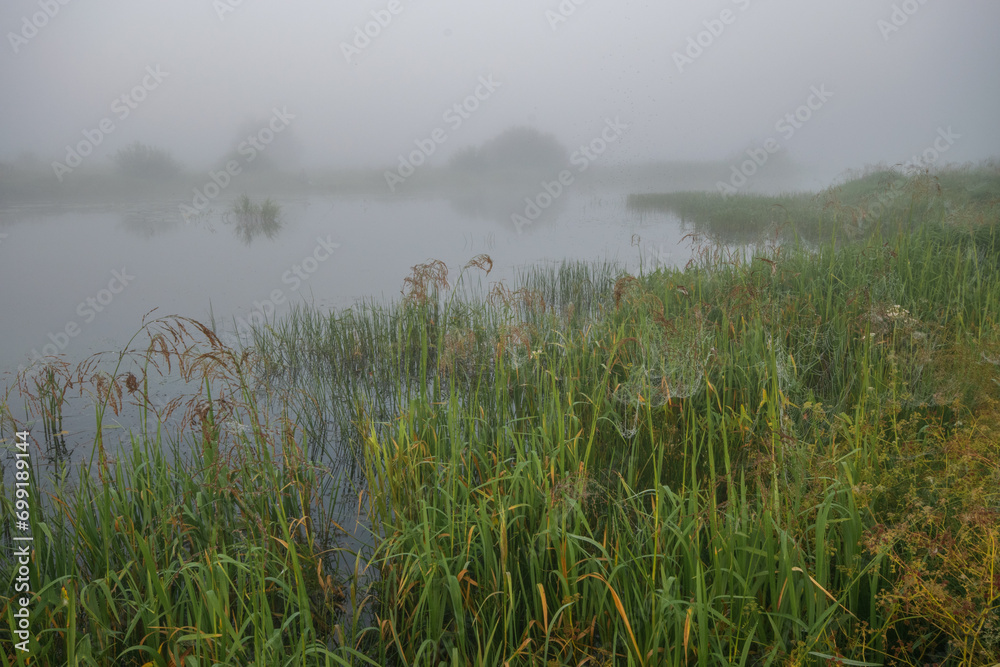 mist over the river