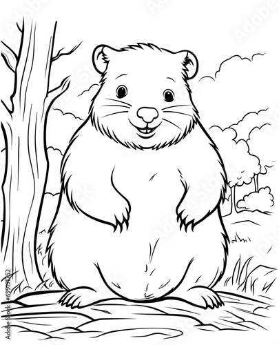 Wombat cartoon coloring page - coloring book for kidds photo