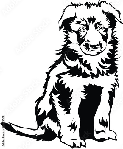 Wallpaper Mural Cartoon Black and White Isolated Illustration Vector Of A Fluffy Pet Puppy Dog Sitting Down Torontodigital.ca