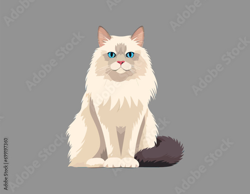 cat with blue eyes vector on isolated background