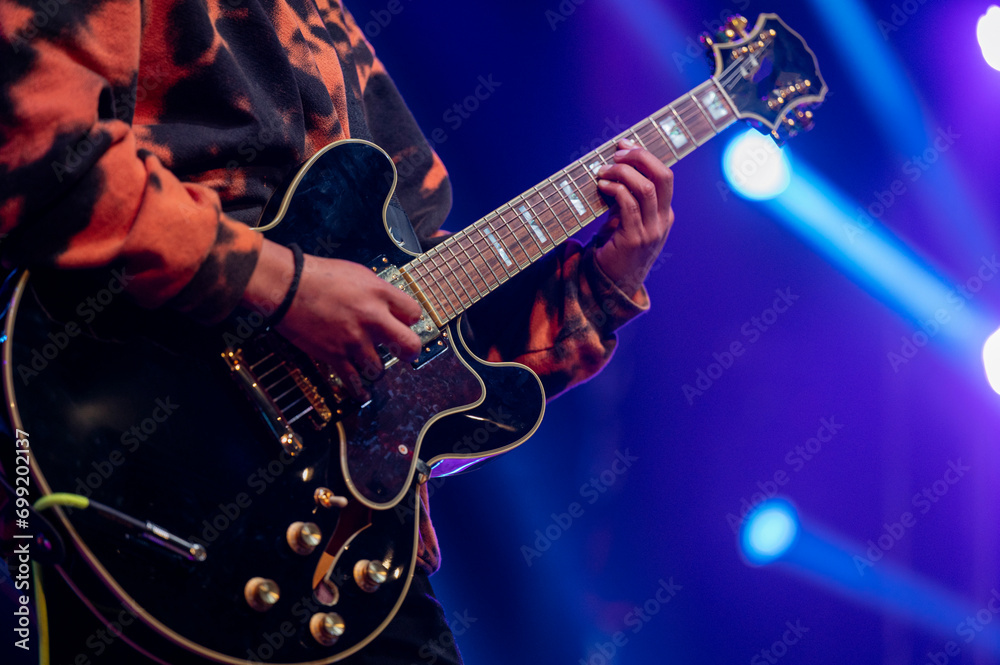 Obraz premium Guitarist performing at a live concert.