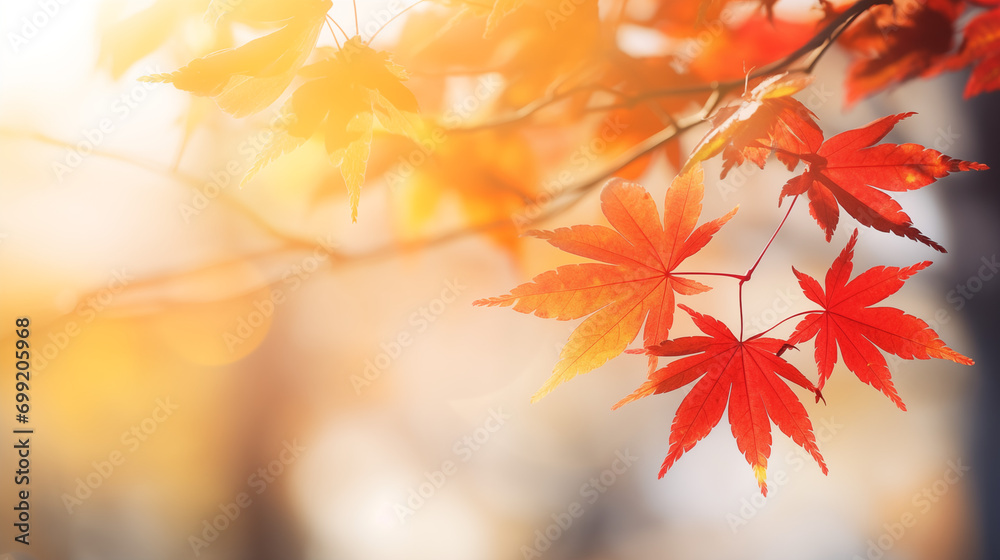 red and yellow maple leaves with soft focus light and bokeh background, Ai generated image red and yellow maple leaves with soft focus light and bokeh background, Ai generated image