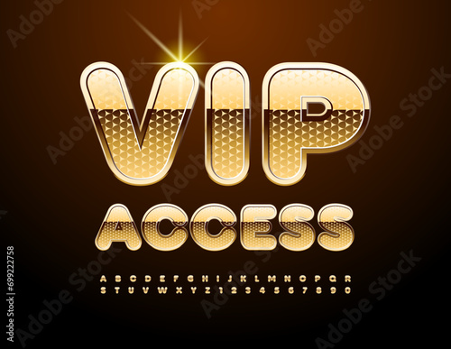 Vector premium sign VIP Access. Gold metallic Font. Luxury style set of Alphabet Letters and Numbers