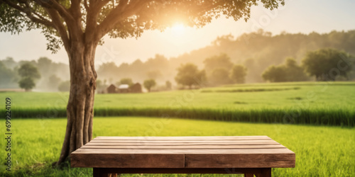 Tree Table wood Podium in farm display for food  perfume  and other products on nature background  