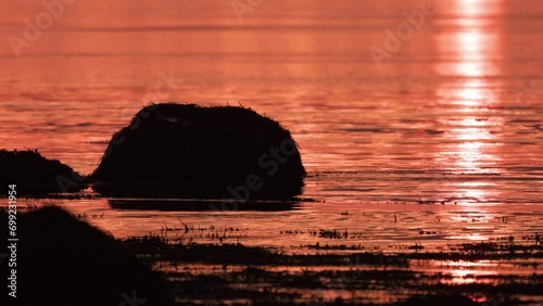 Silhouette of a rock on seashore in sunset, telephoto shot photo