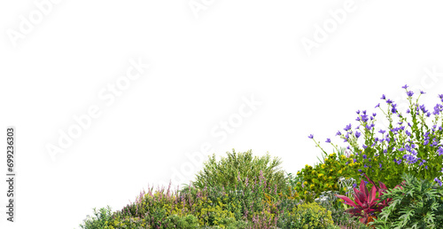 A small garden foreground decorated with many flowers and plants on a transparent background.