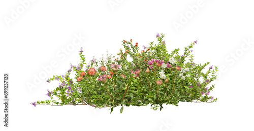  A small garden decorated with many flowers and plants on a transparent background.