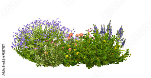  A small garden decorated with many flowers and plants on a transparent background.
