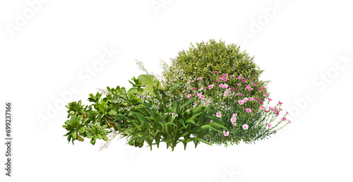  A small garden decorated with many flowers and plants on a transparent background.