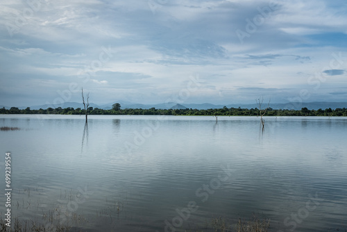 Sri Lanka Landscape © Imogen Sampson