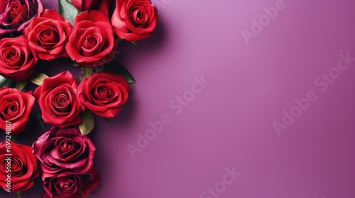 A group of red roses on a purple background