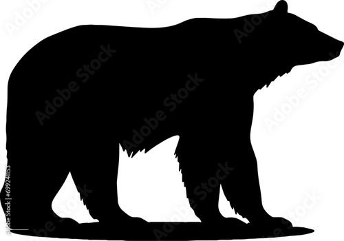 silhouette of a bear photo