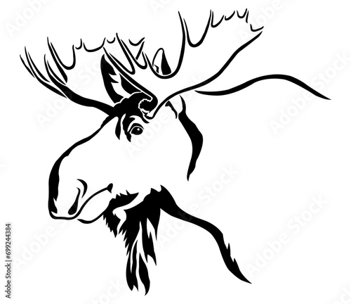 Bull Moose