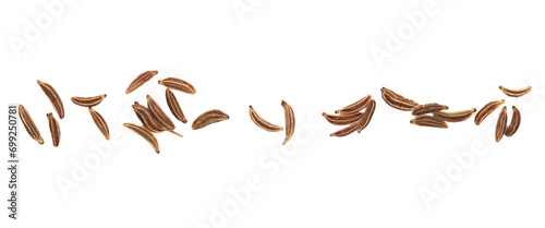 Macro cumin, caraway seeds line isolated on white photo