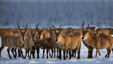 Icy Gathering: Antelope Herd in a Frozen Landscape, Ai generative