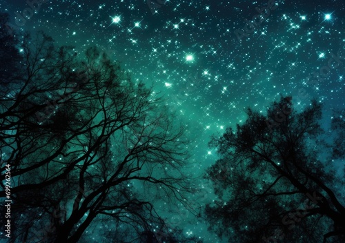 stars in the night sky showing through pine trees