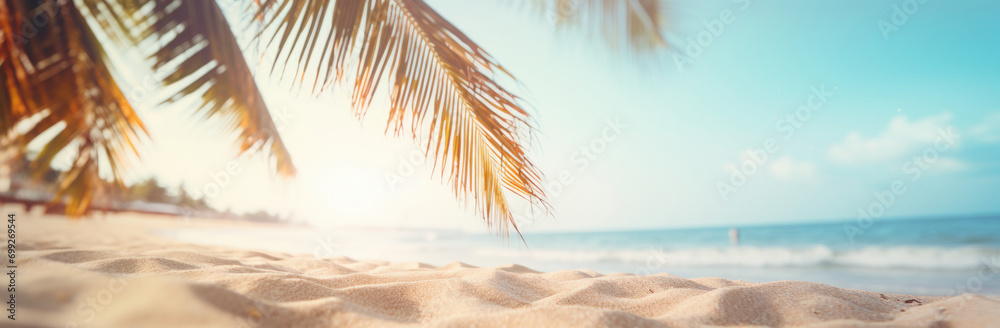 beach scene with palm tree and sand