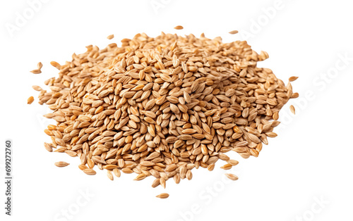 Multigrain isolated on transparent background.