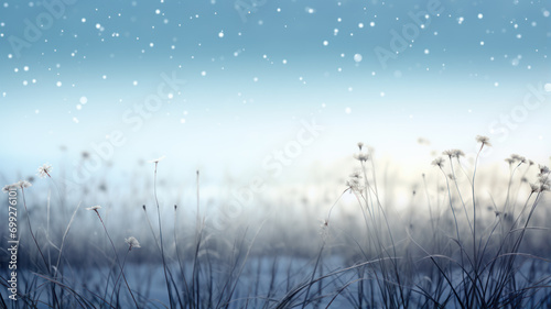 Bokeh Style  Snowy Field and Delicate Flowers