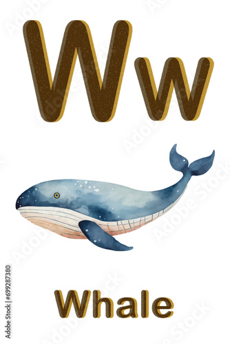 printable animal alphabet card vector graphic resources, letter W / w for whale	

