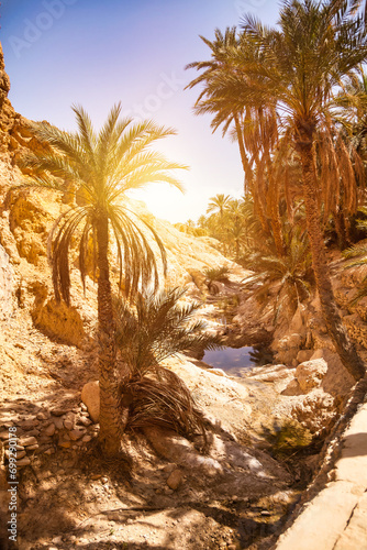Scenery of Chebika mountain oasis in Sahara desert with palm trees, sunny summer day. Scenic view of oasis in North Africa, Atlas mountains, Tozeur, Tunisia. Geology climate concept. Copy text space