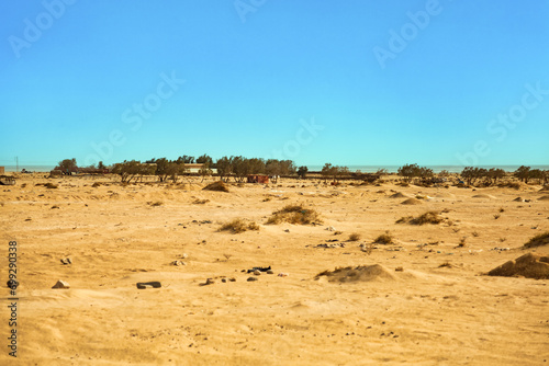 Photography of scenery Sahara desert - sandy dunes with vegetation at sunny day. View of landscape desert hills with sand at blue summer sky. Sahara, Tozeur city, Tunisia, Africa. Copy ad text space