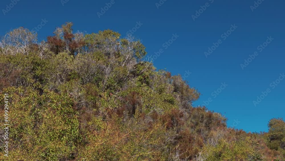 Hills and mountains in Santa Barbara County, California on sunny day. Wide shot Hills and mountains in Santa Barbara County, California on sunny day. Wide shot