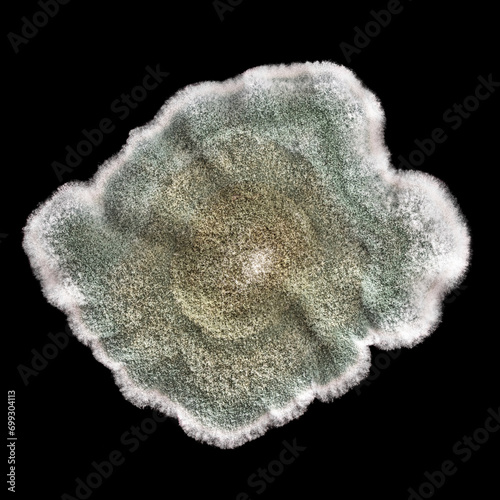 Food green mold on a black background. Microbiological abstract background close up