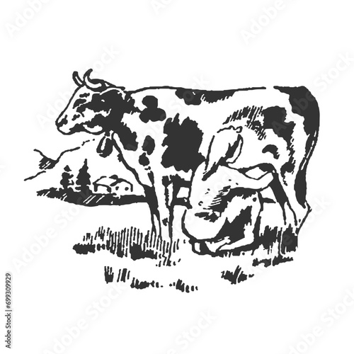 Cow Illustration Clip Art Design Shape. Agriculture Silhouette Icon Vector.