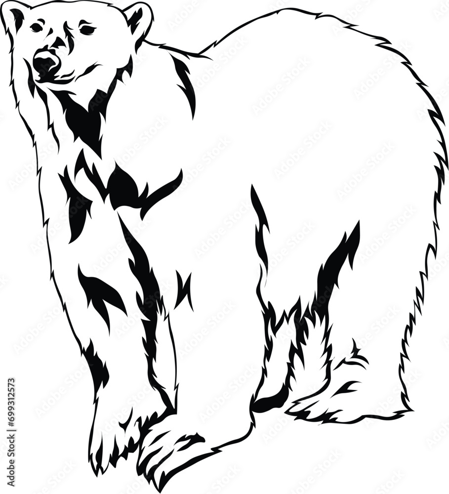 Cartoon Black and White Isolated Illustration Vector Of A Polar Bear ...