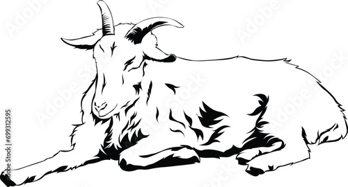 Cartoon Black and White Isolated Illustration Vector Of A Horned Billy Goat Laying Down