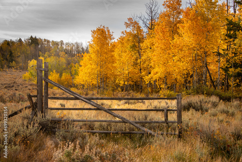 autumn landscape with fence