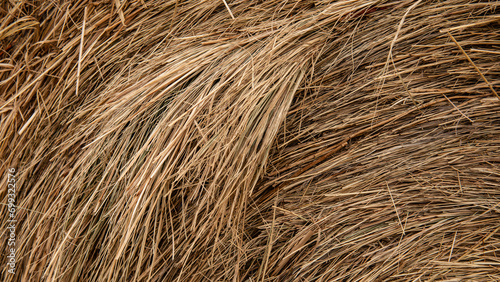 texture of straw